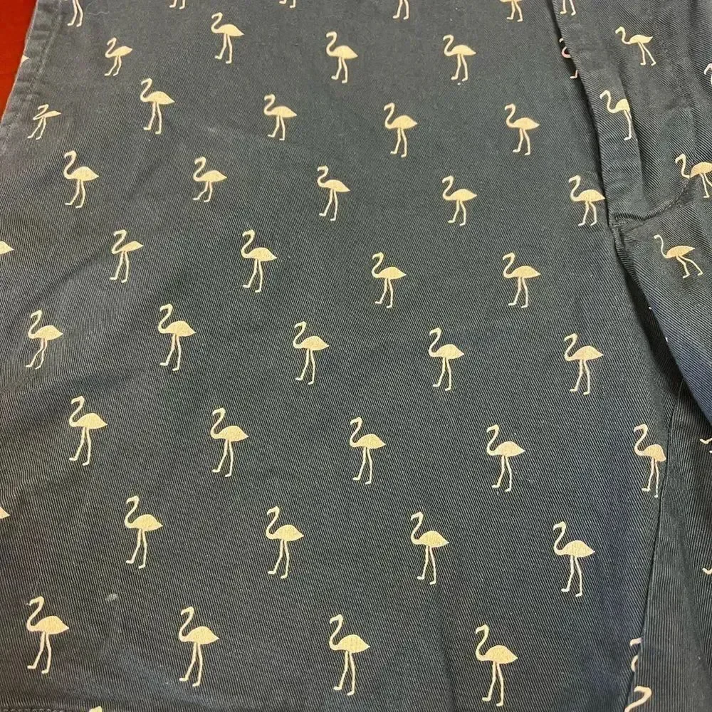 J. Crew are shorts